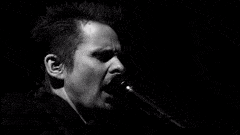 EnormousSpectacularChital-max-1mb