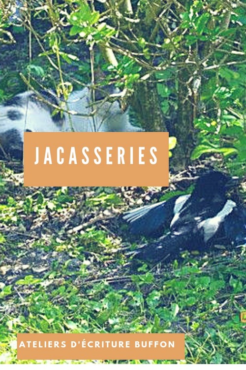 Les Ateliers d’écriture des Buffon #3 : Jacasseries