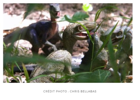 Scène de chasse raptors Collection papo Rebor Chris Bellabas