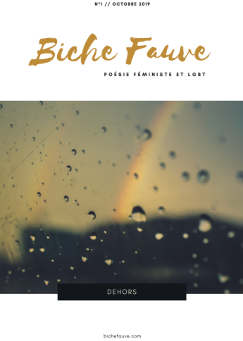 Parution de « Transgression » chez Biche Fauve