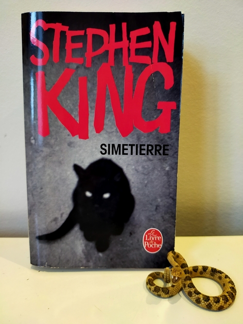 Chronique : Simetierre [roman d&rsquo;horreur] – Stephen KING – Albin Michel