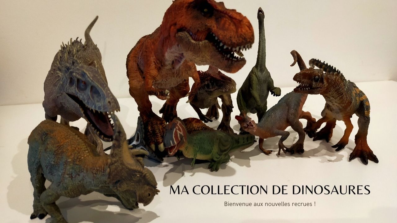 Ma collection de dinosaures Papo, Schleich, Safari, Collecta, Rebor, Bullyland : bienvenue aux nouvelles recrues ! [Partie 4/4]