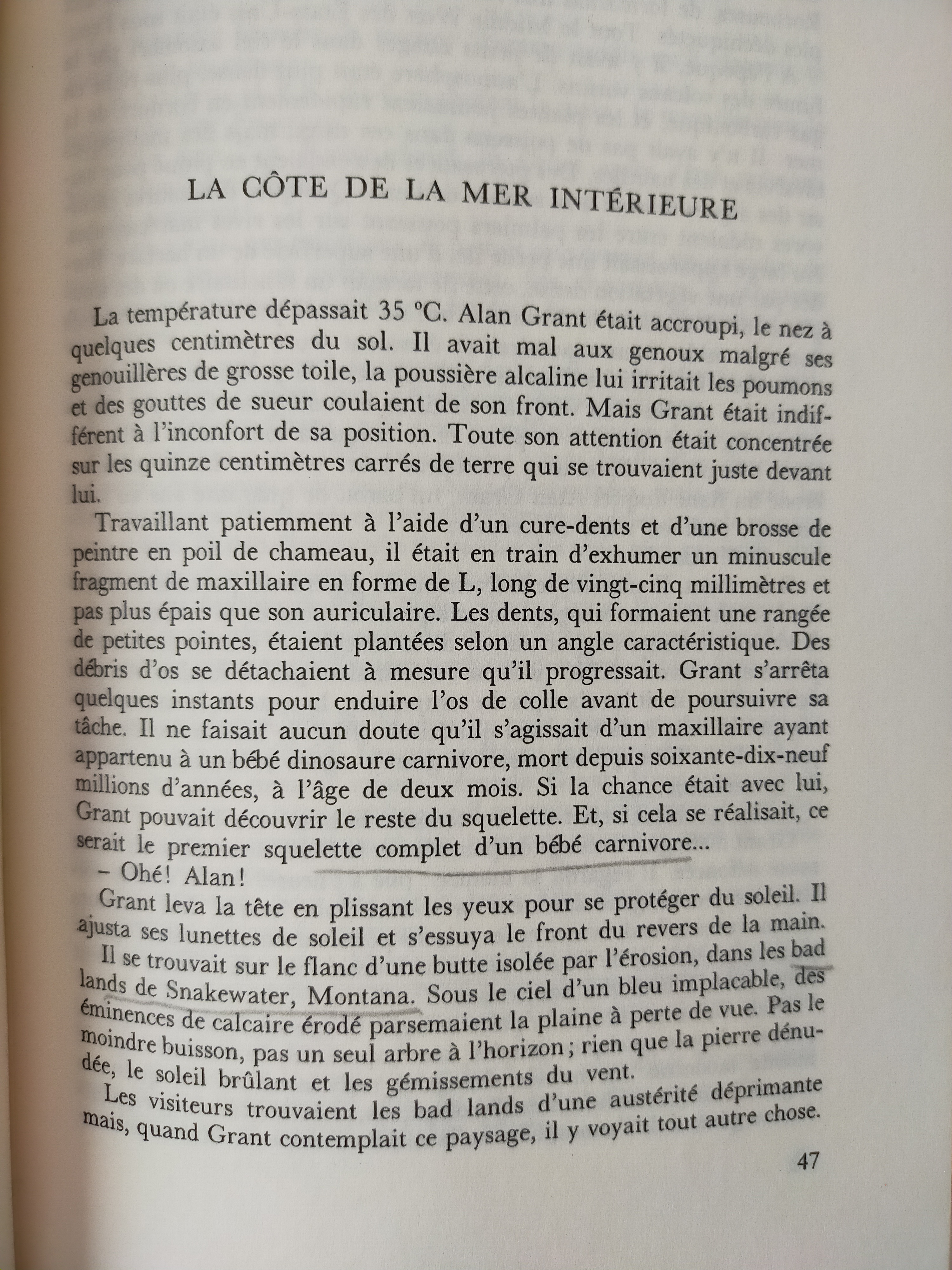 Jurassic Park : comparaison entre le roman de M. Crichton et son adaptation par S. Spielberg, jour 8 : La Côte de la mer intérieure