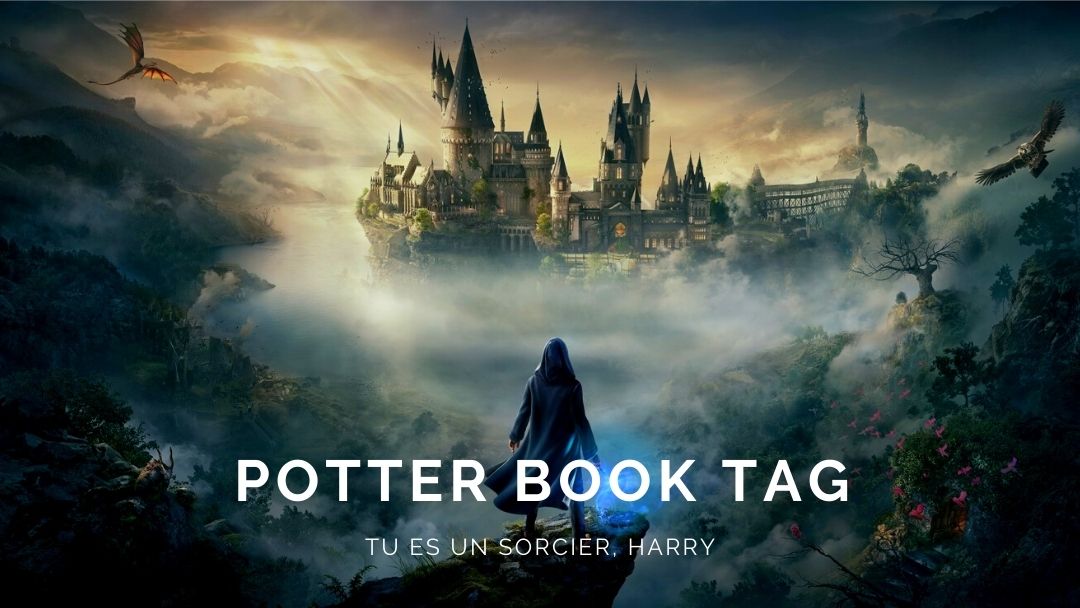POTTER BOOK TAG – Tu es un sorcier Harry !